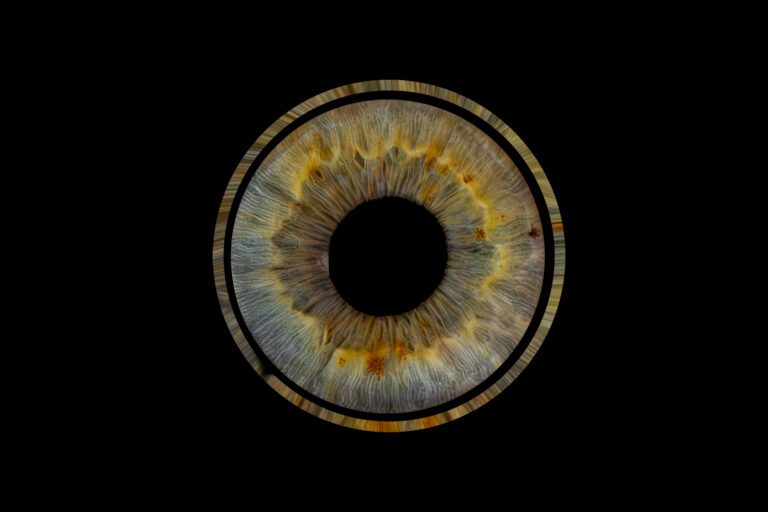photographie d'iris bleu dans le gers