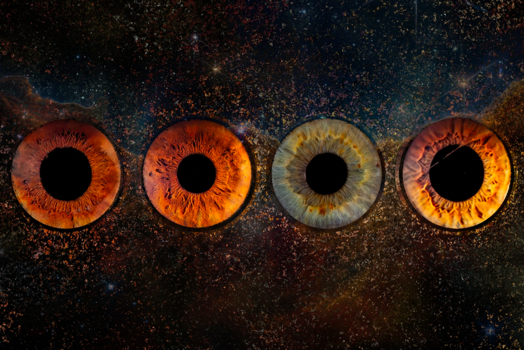 iris famille galaxie