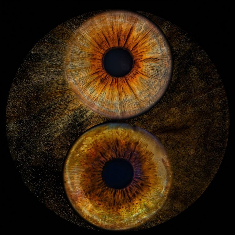 yin yang d'iris